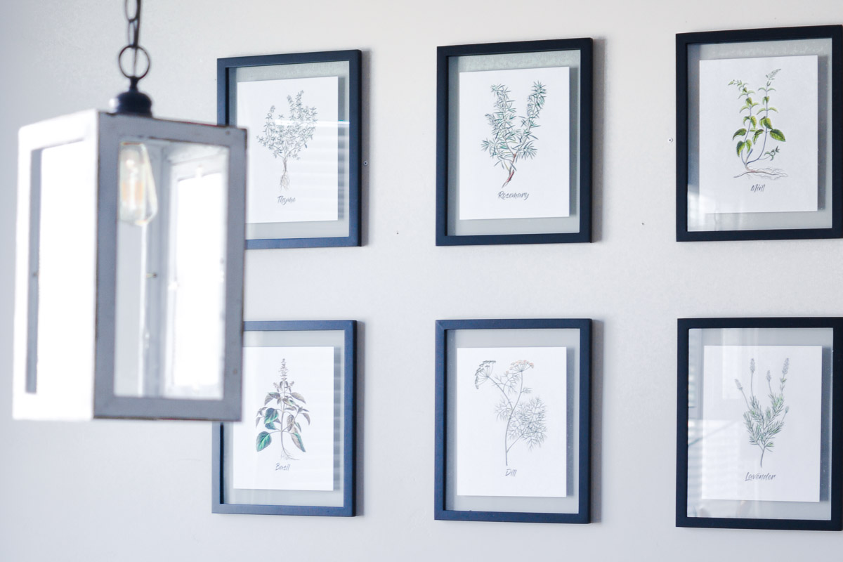 Free Set of 6 Spring Herb Printables