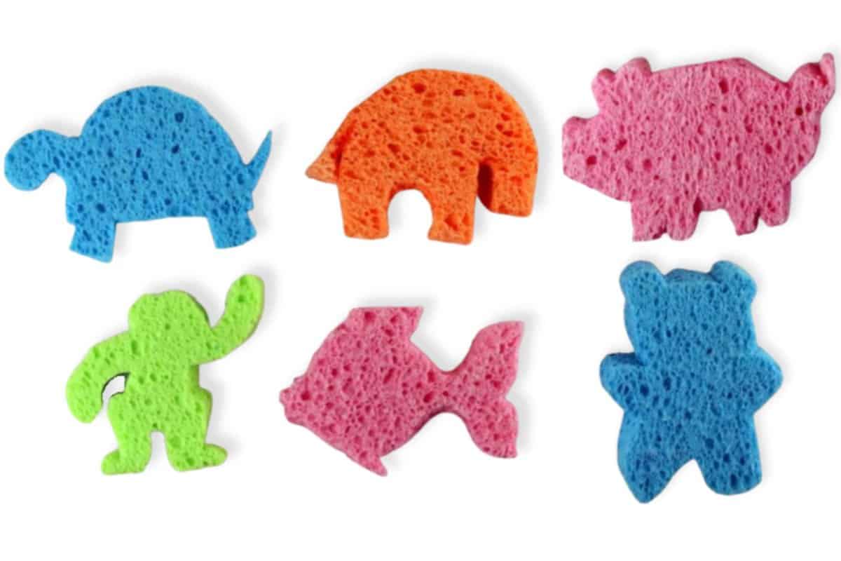 How to Make Fun Animal Shape Sponges