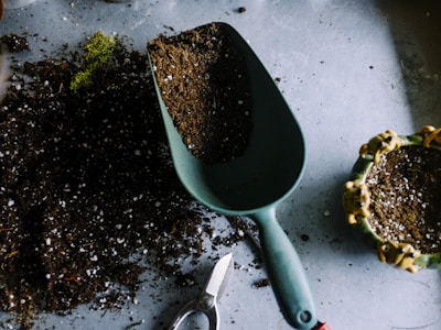 DIY Terrarium Garden in Glass Containers